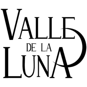 Valle de la Luna Chile capacitación en primeros auxilios outdoor Summit Trekking Adventure